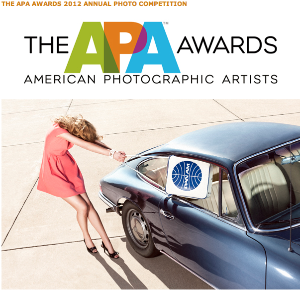 The APA Awards     Extended Deadline