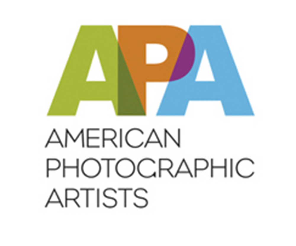 APA Survey for Professional Photographers