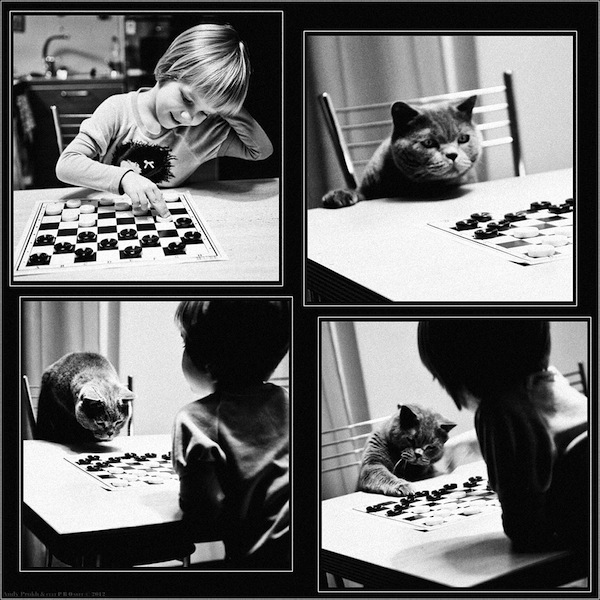 Andy-Prokh, The-Gamesters-Checkers, The-Gamesters, girl-and-cat, black-and-white, black-and-white-photography