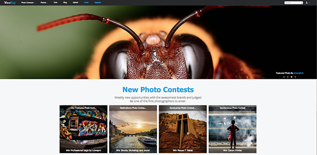 viewbug, potd, #potd, photographer-of-the-day, photography, contest