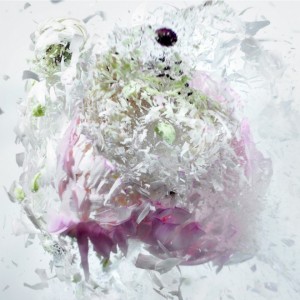 Martin-Klimas, photography, exploding-flower