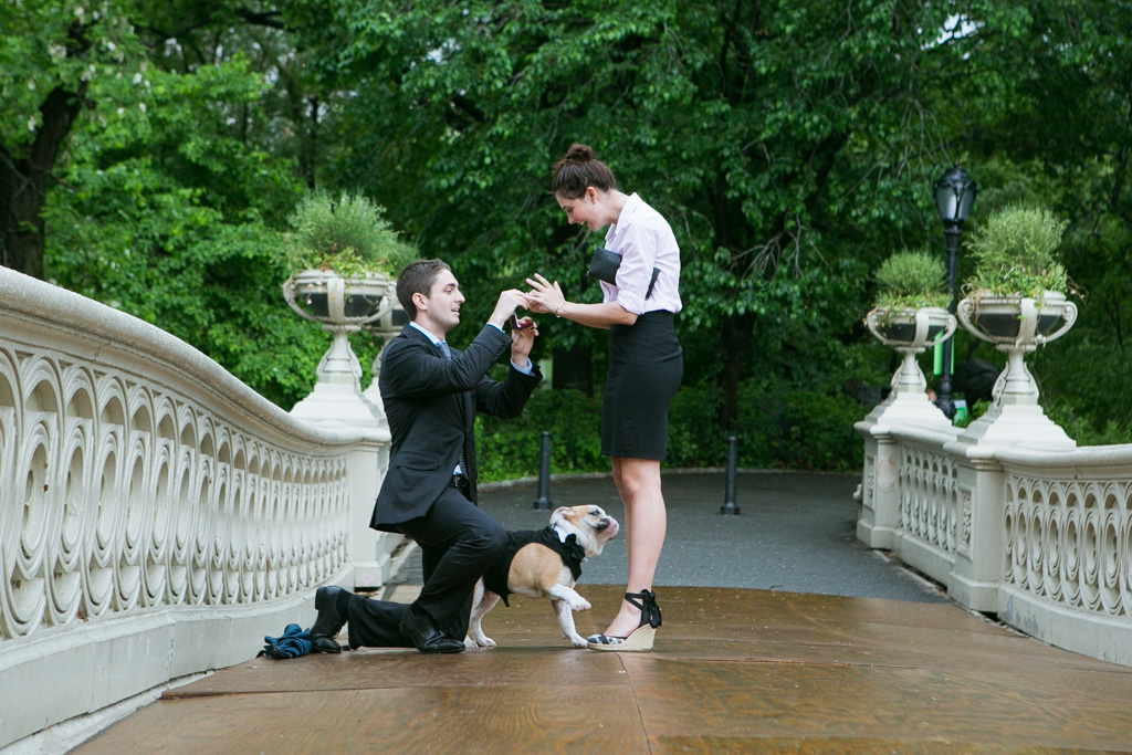 Photographer Captures Marriage Proposals in New York City