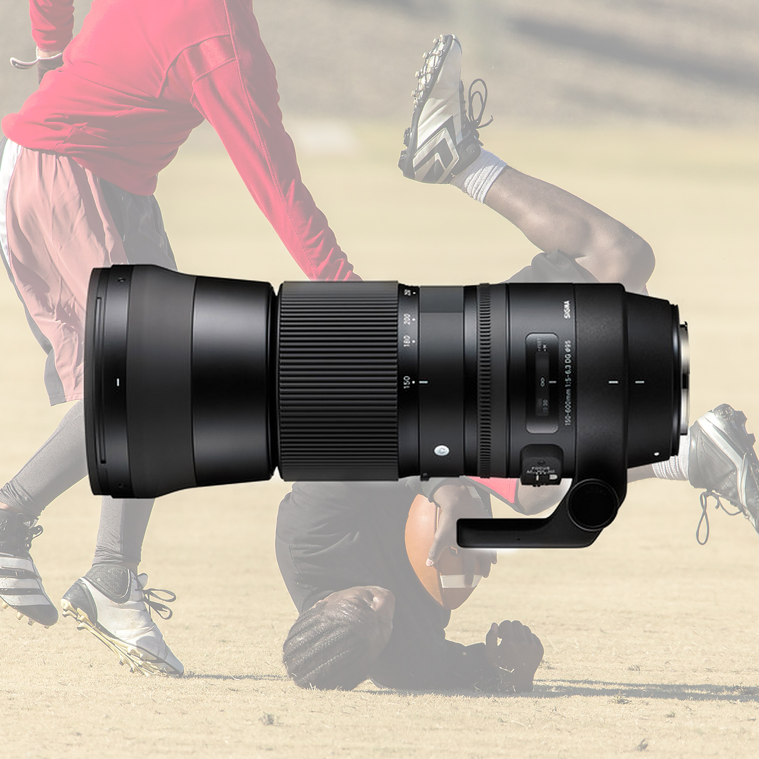 Review: Optically The Sigma 150-600mm Sports Lens Really Delivers