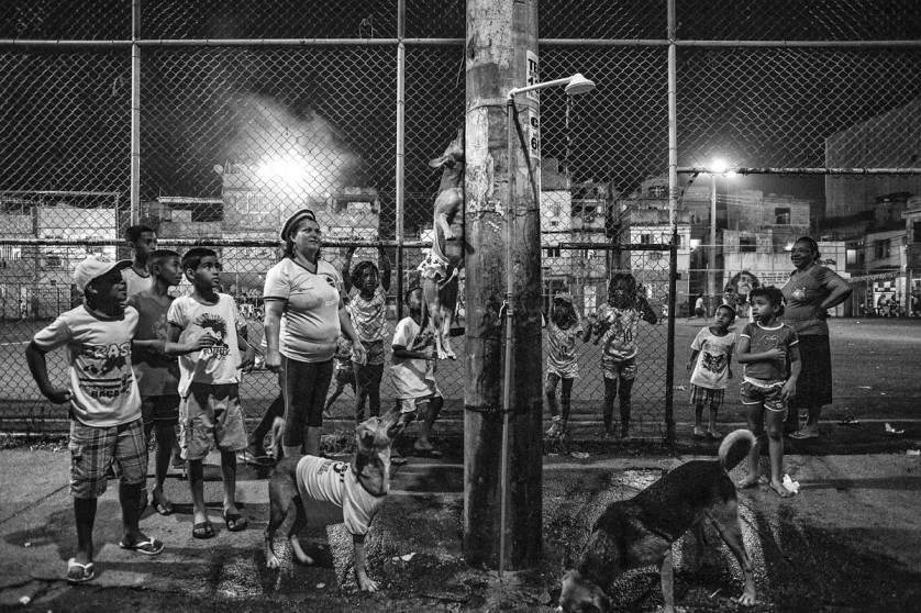 Un pitbull addestrato si esibisce per i bambini del Complexo da Marè.