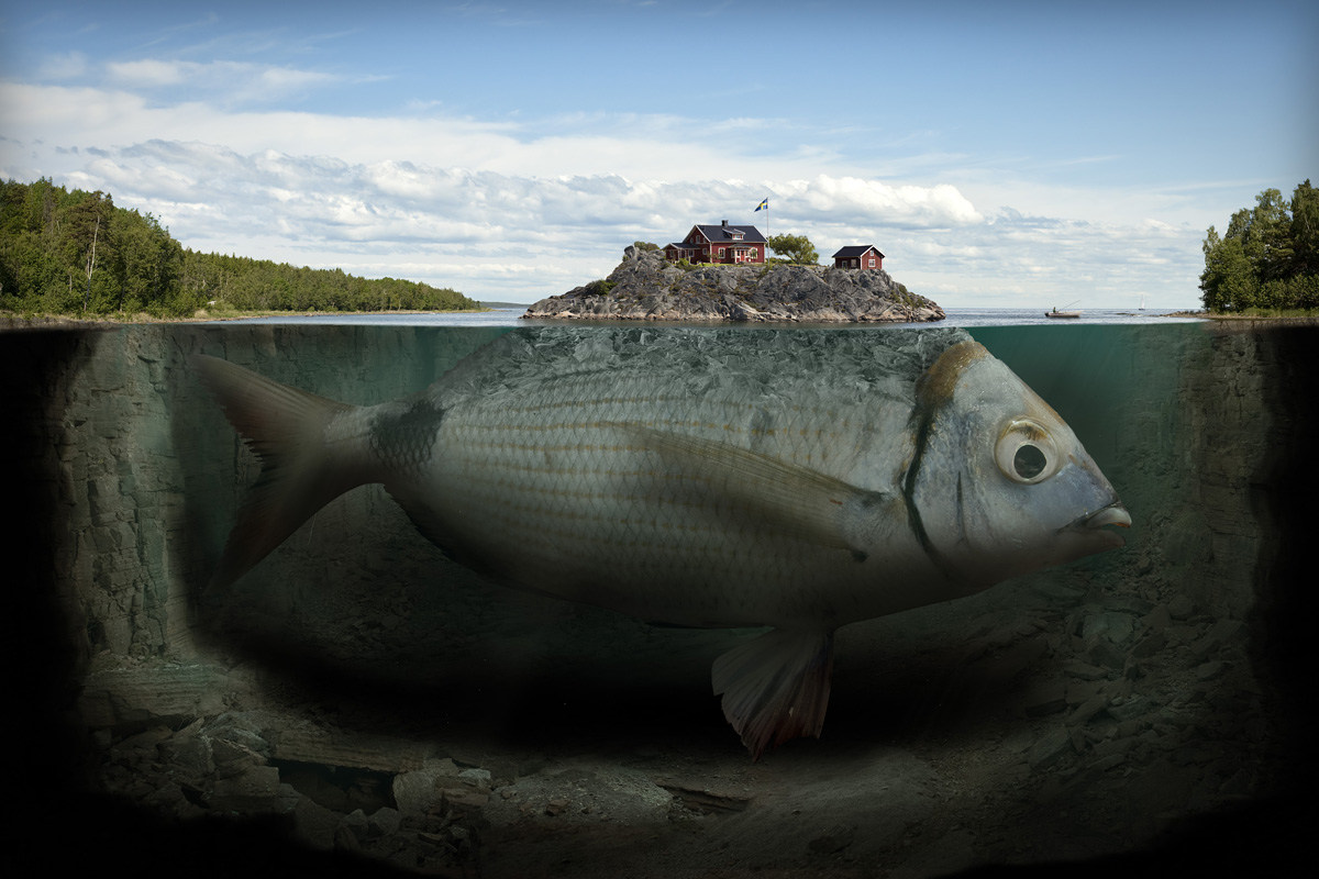 fishy-island