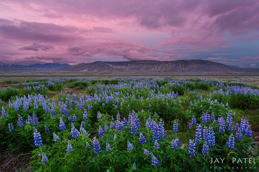 "Highlands, Iceland"