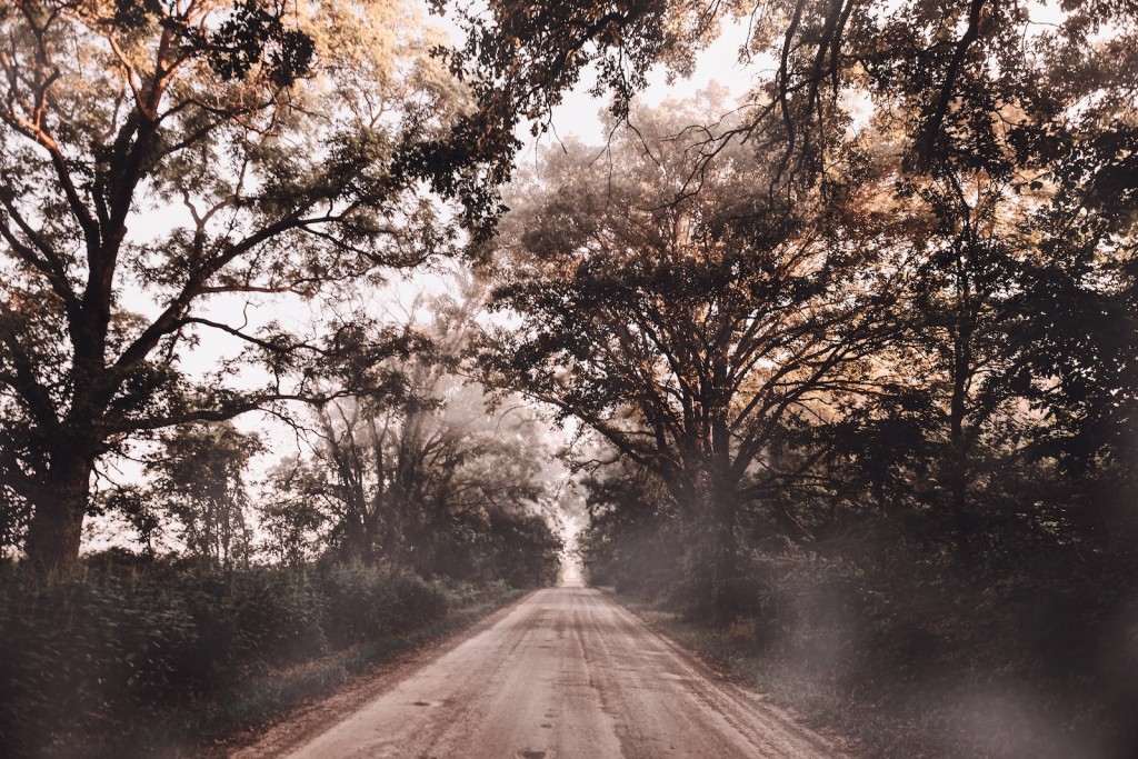 Photographer Captures Breathtaking Backroads of Michigan with Series That Documents His Creative Process