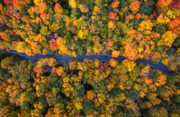 The Colors of Fall: An Aerial Journey Through the Northeast