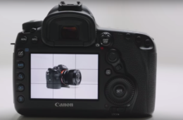 An In-Depth Look at Canon 5D Mark IV vs. Sony a7R II: Which Would You Choose?