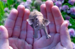 Every Artist's Dream Comes True: Create And Live In Your Own Reality, With Magic Leap