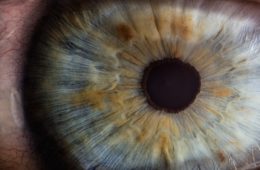 Google’s Retinal Scan Will Detect Your Risk of Heart Disease