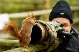 The Ethics of Wildlife Photography