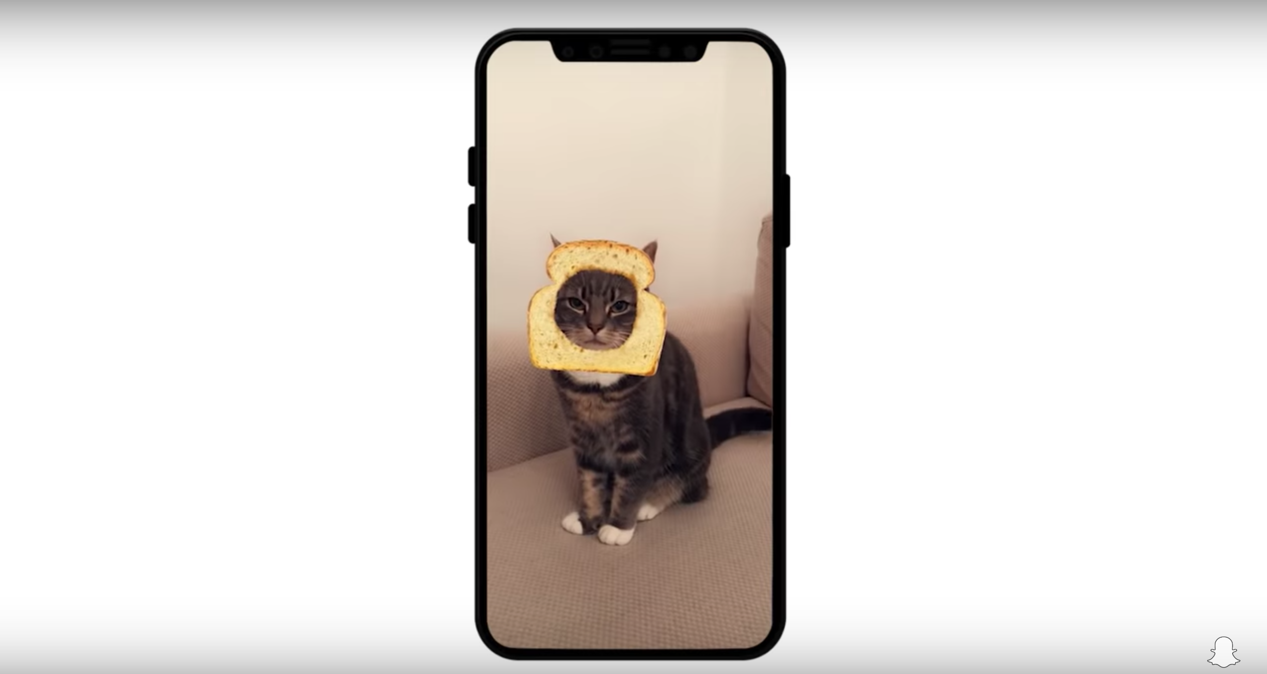 Snapchat Makes Selfie Filters For Cats