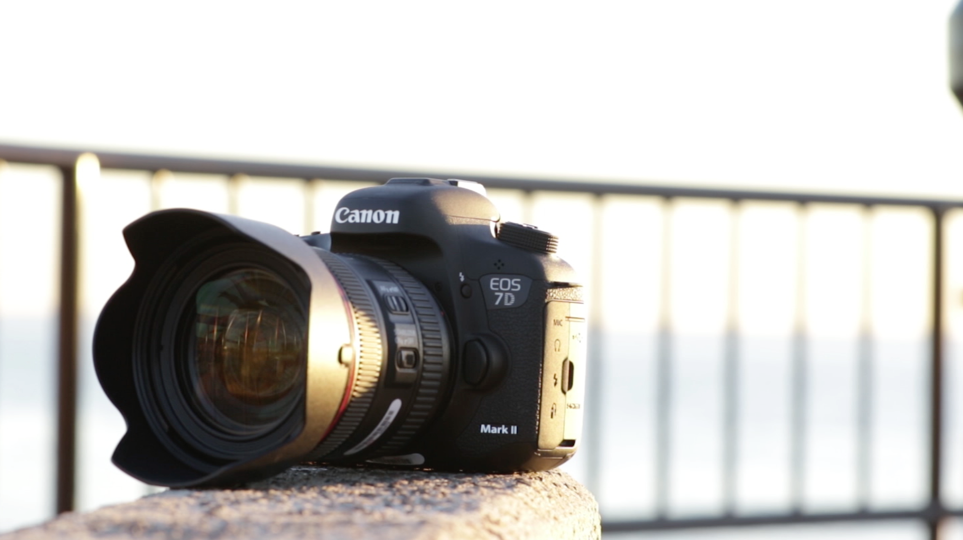 Review: The Canon 7D Mark II